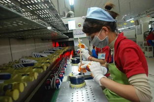 400亿美元投资注入，柬埔寨住宿服务业迎巨变